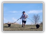 Englsh Toy Spaniel (109)