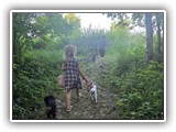Englsh Toy Spaniel (182)