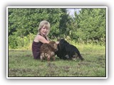 Englsh Toy Spaniel (391)