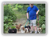 Englsh Toy Spaniel (431)