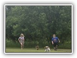Englsh Toy Spaniel (571)