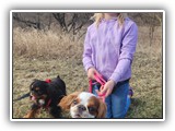 Englsh Toy Spaniel (76)