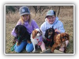 Englsh Toy Spaniel (84)