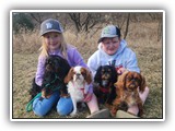 Englsh Toy Spaniel (86)