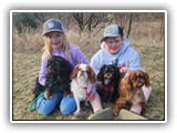 Englsh Toy Spaniel (87)