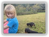 puck litter 2 (73)